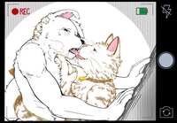 https://images.plurk.com/4bsohN6ZpZ43G8jKyfDkTH.jpg