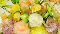 https://images.plurk.com/4bsp0EtNx1MJYFaufZenp0.jpg