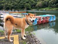 https://images.plurk.com/4bt4D2UhJCJuOxj8lY0Her.jpg