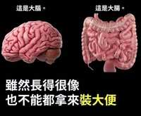 https://images.plurk.com/4bvPZHrQes0fCvYSN6Rilr.jpg