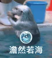 https://images.plurk.com/4bxEyeA9mquTPNquHUiwuU.gif