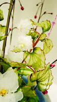 https://images.plurk.com/4byR7Urw9Gg0UuRKlYYF2n.jpg