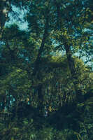 https://images.plurk.com/4c0BrQLgTnFJFo23vH5nHE.jpg