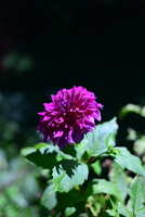 https://images.plurk.com/4c8xuJ1Ttb8nUboB553h5f.jpg