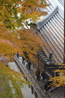 https://images.plurk.com/4c9Xw40ZLQgZkNrIrM8qEs.jpg