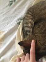 https://images.plurk.com/4cDhsmULkT7lZ0Vx1y37aO.jpg