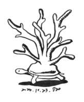 https://images.plurk.com/4cI1Fz3z1r4CJBsUiYQZyI.png