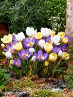 https://images.plurk.com/4cJeR0ADCmCthbxnL1ZTdJ.png