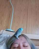 https://images.plurk.com/4cOBbiA6CN3dBgu5R7ivHL.jpg