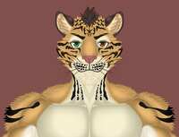 https://images.plurk.com/4cVpdlrUACsGAw0WNtJPn1.jpg