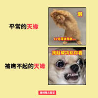 https://images.plurk.com/4ckIGV9p8oWng5tWQH1HJq.jpg