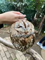 https://images.plurk.com/4cmZ22FXWthWKcQdMIKyxI.jpg