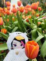 https://images.plurk.com/4cn2PGAfQrCFTtxeZDvADy.jpg