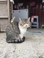 https://images.plurk.com/4cneApIWbTiqoTfHLK8QXU.jpg