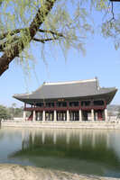 https://images.plurk.com/4cngCGzhmGGuhfgR7jPbFb.jpg