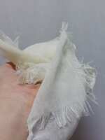 https://images.plurk.com/4cpiJ5LQEnu6F29NuSSjsC.jpg