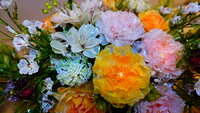 https://images.plurk.com/4cslthrXTHWS7UbzrzkjZr.jpg