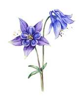https://images.plurk.com/4d8dt4kd8MbqAljw7Iwu1.jpg