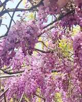 https://images.plurk.com/4dK5Gl7PyNw3eZVu546hCG.jpg