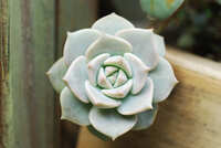 https://images.plurk.com/4dPlB9FL78ArcGyz8wh4Qk.jpg