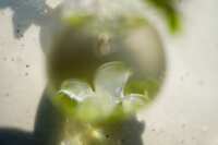 https://images.plurk.com/4dQI3KY5zlgyLsiIGUXrzE.jpg