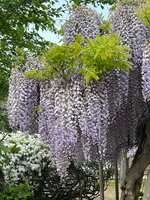 https://images.plurk.com/4dTjt64hUJhqwlPGuiLkvp.jpg