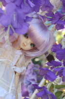 https://images.plurk.com/4dXkomsXkRvOOigKA5jwCn.jpg