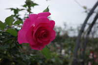 https://images.plurk.com/4dhIkRY1bngkudyYNWxj1t.jpg