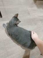 https://images.plurk.com/4dhWATUeYdFUveJgL9Bi38.jpg