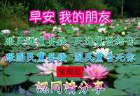 https://images.plurk.com/4dn5w5bBNMa65VgP2ozTzR.jpg