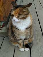 https://images.plurk.com/4dvWoPevf0U8zF847WwEIW.jpg