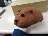 https://images.plurk.com/4dxHP7F9onYQiIxBD4Tu4f.jpg