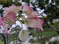https://images.plurk.com/4eArgVN7wKh2rccw1Cns7G.jpg
