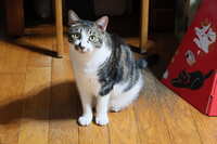 https://images.plurk.com/4eMz6T5Y88JPOpuxn6ox2d.jpg