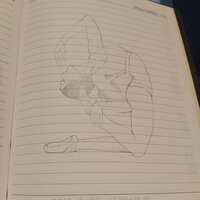 https://images.plurk.com/4ehXX37H0AkuwlF2ip0F4M.jpg