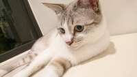 https://images.plurk.com/4eitujWYLF29t9LN6BHwt7.jpg