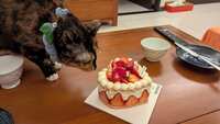 https://images.plurk.com/4emKyDEMU6N3QFUucL7E3t.jpg