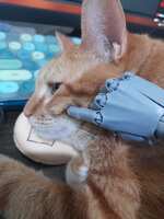 https://images.plurk.com/4emjZe1nYGKSQYDYzjAyFL.jpg