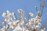 https://images.plurk.com/4euj4RVviKRQqVfAX8dgh1.jpg