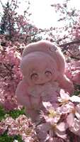 https://images.plurk.com/4euwdme49jZJnPL2xdHJlv.jpg