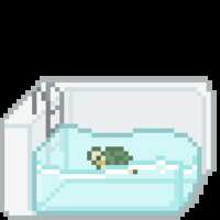https://images.plurk.com/4exwhh2Qmv4xRyJm3rbZCp.gif