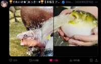 https://images.plurk.com/4f65g9WiZF6j6EBUeOjvUP.png