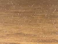 https://images.plurk.com/4f6nYAqr6vzBJX2c0tDwzK.jpg