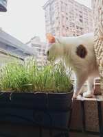 https://images.plurk.com/4f9LyQe6OtnUkFXZTFcr5g.jpg