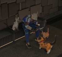 https://images.plurk.com/4fBMbJlTXzfloQDKOSxvv5.png