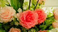https://images.plurk.com/4fDLNegOqNTNgXuNE5L0Fz.jpg
