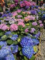 https://images.plurk.com/4fHTg7XLL5a06l4fFKEVYr.jpg