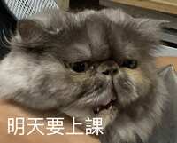 https://images.plurk.com/4fLbkX7cEtmwt7MxxIrxqj.jpg