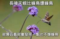 https://images.plurk.com/4fNCpXKh2bdVD4okFgR5mc.jpg