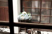 https://images.plurk.com/4fWktWoztN8X97VPEkdFPJ.jpg